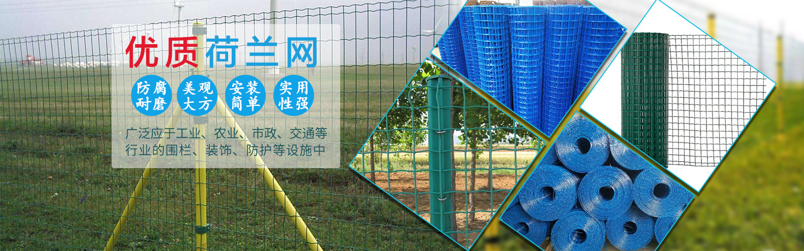 安平縣德躍絲網(wǎng)制造有限公司